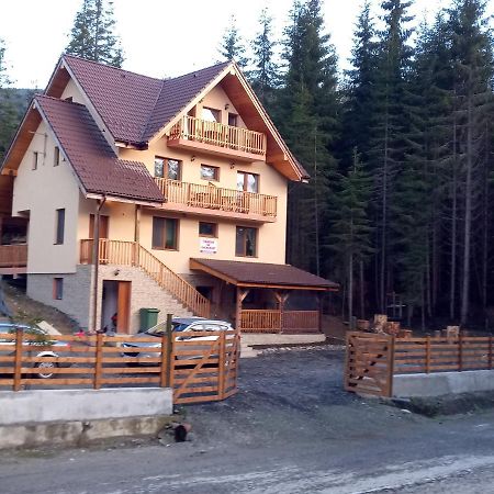 Hotel Vidra Parc Voineasa Exterior foto