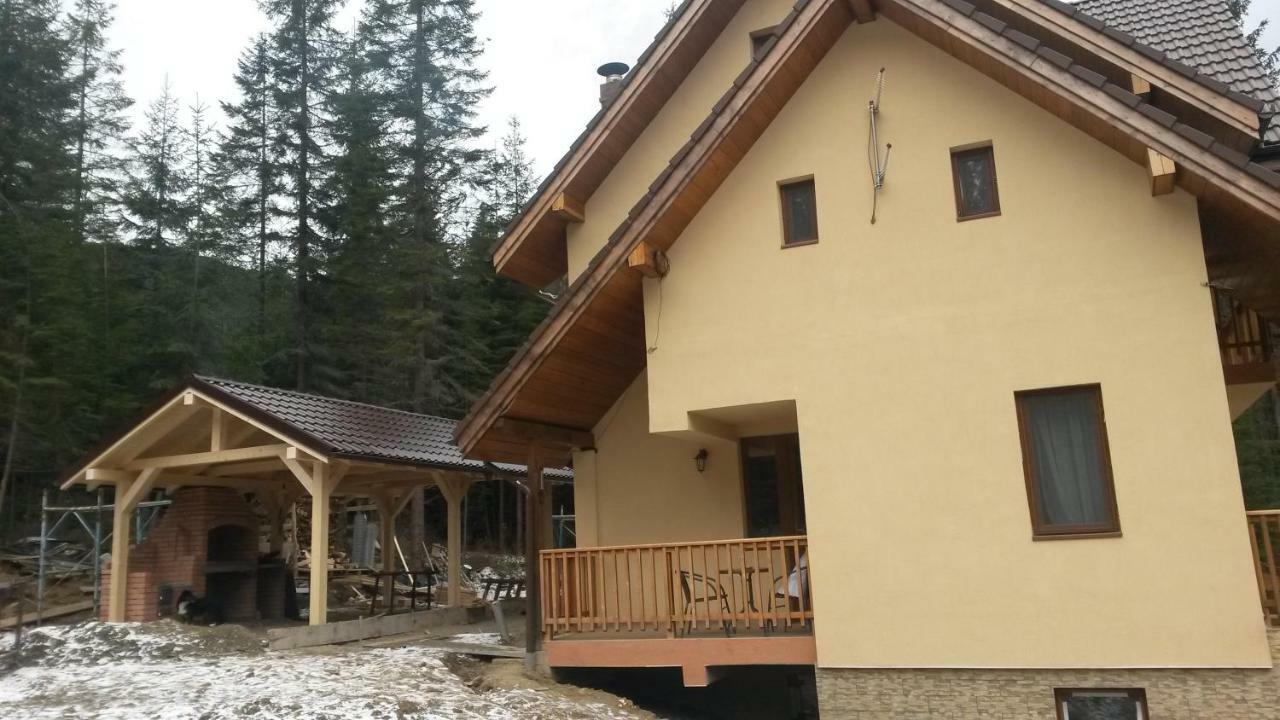 Hotel Vidra Parc Voineasa Exterior foto