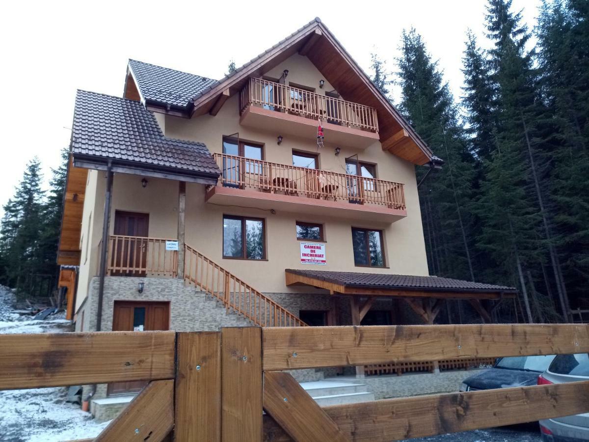 Hotel Vidra Parc Voineasa Exterior foto