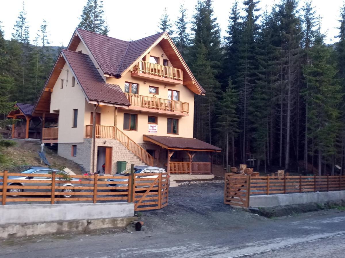 Hotel Vidra Parc Voineasa Exterior foto